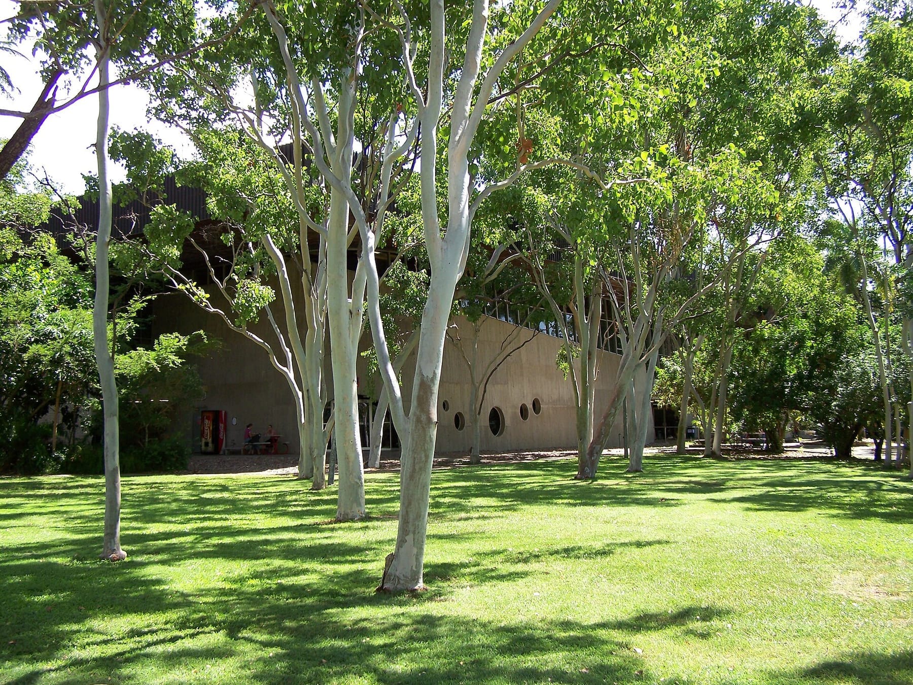 JCU Library (photograph from the Wikimedia Commons category James Cook University)