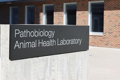 University of Guelph - Ontario Veterinary College logo