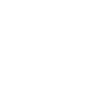 Washington State University logo